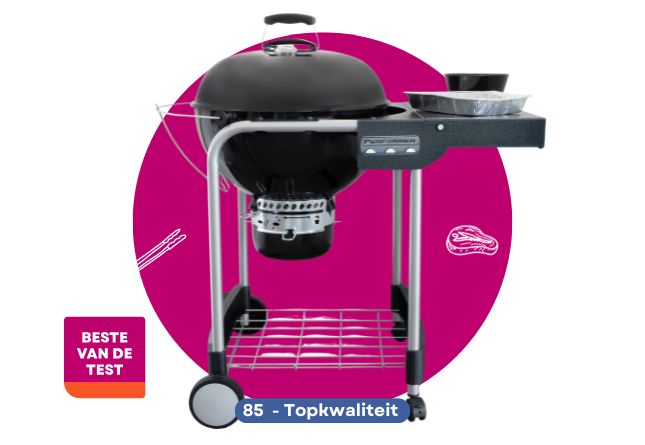 WEBER PERFORMER GBS